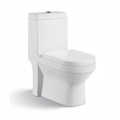 トイレシートカバーをゆっくりとカバーする伝統的な壁に背くセラミックトイレセットと盆