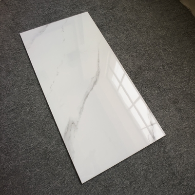 テクニック ガラスのタイル 1200x600mm 淡灰色 セラミックタイル ポーレンス ポーラー